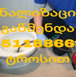 GAWEDILI SAMZAREULOS MILIS GAWMENDA 551188669