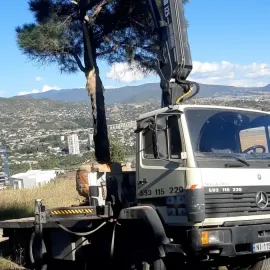 ამწე მანიპულატორი