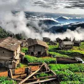 ტურები საქართველოში ნებისმიერი მიმართულებით