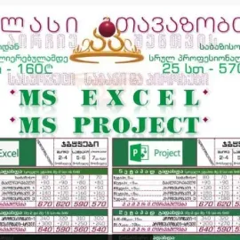 MS Excel ექსელი და MS Project_პროჯექტი