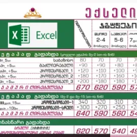 MS Excel ექსელი და MS Project_პროჯექტი