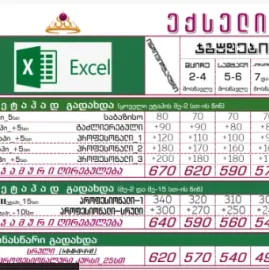 MS Excel ექსელი