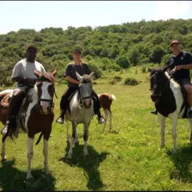 ტყის კაცის რანჩო | Forest Man Ranch