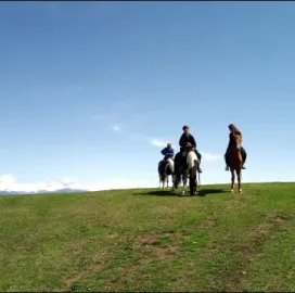 ტყის კაცის რანჩო | Forest Man Ranch