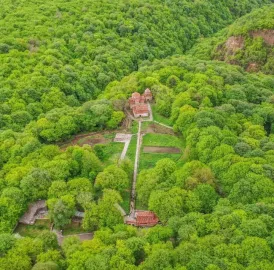 ტყის კაცის რანჩო | Forest Man Ranch