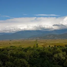 ტყის კაცის რანჩო | Forest Man Ranch