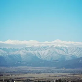 ტყის კაცის რანჩო | Forest Man Ranch