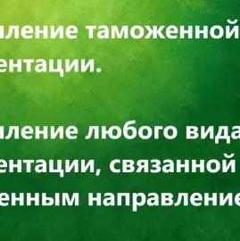 საბაჟო და საბუღალტრო დეკლარაციების წარდგენა