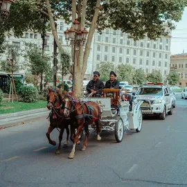 ეტლით გასეირნების სერვისი